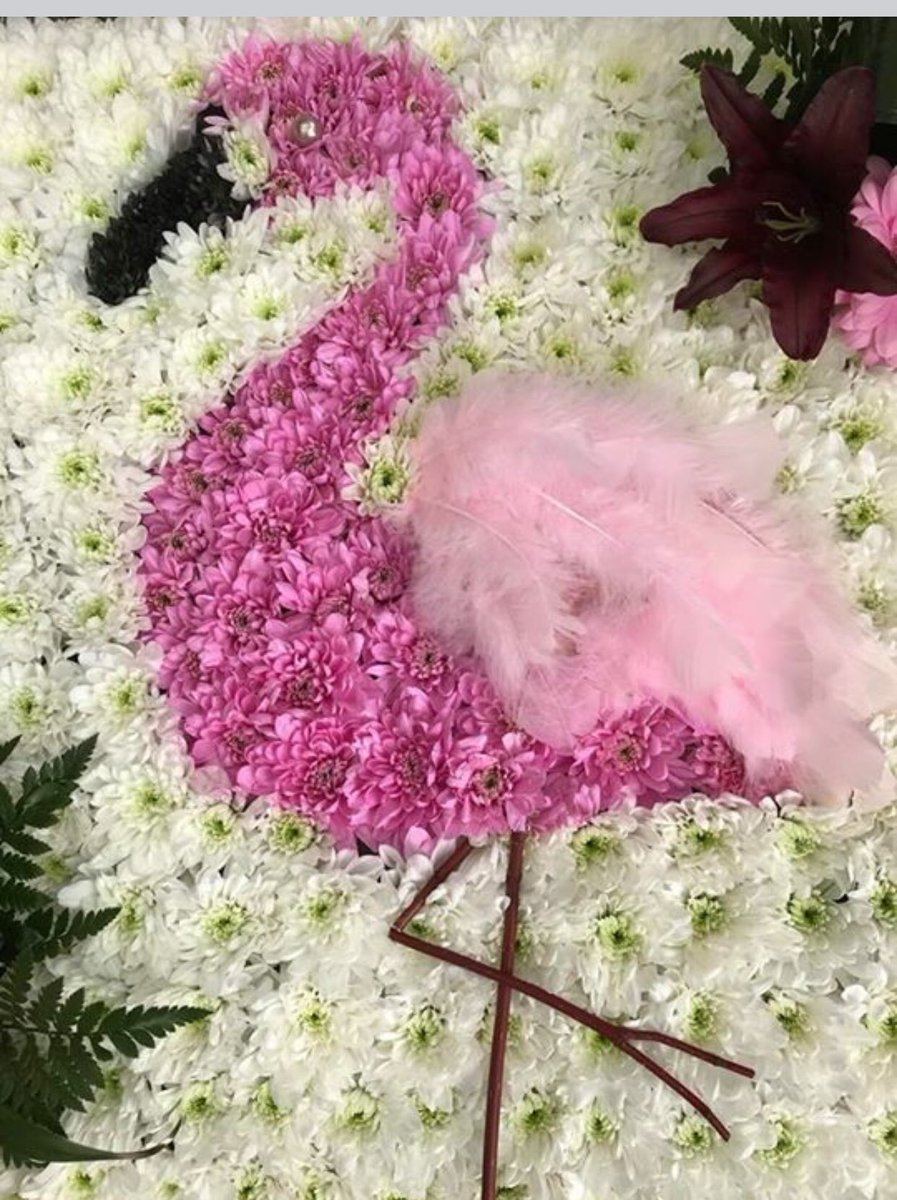 Flamingo time #Flowers #love #Pink #Kent