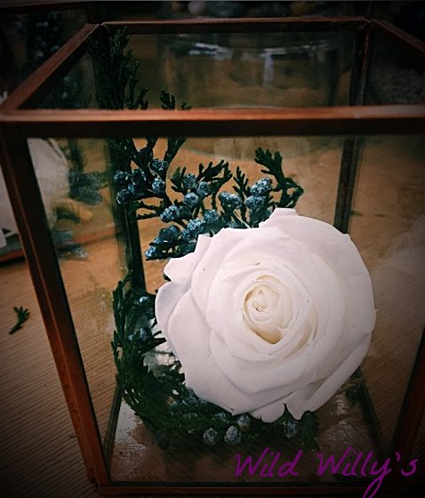 I think this one is my favourite.. locked in and completely sealed, never wilting magic.  Take home one of these treasures today and always have a blooming flower in your home. 🌹