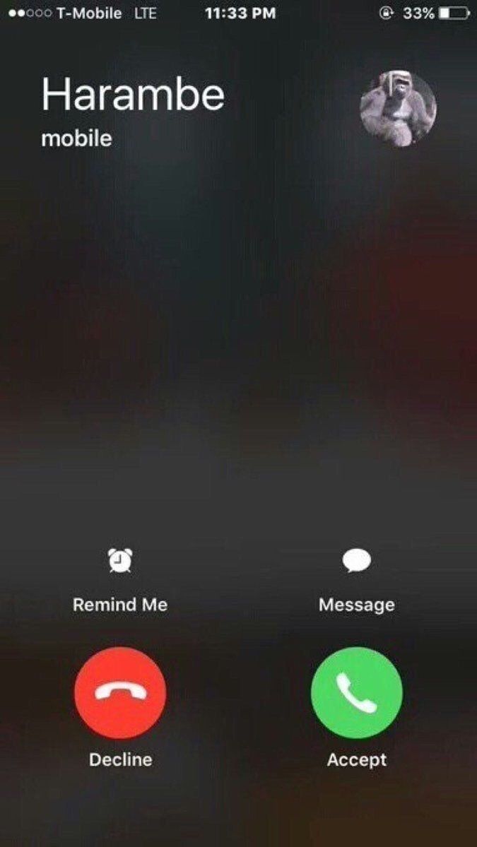 CauseWereGuys's tweet photo. RT if you'd answer https://t.co/zMcASwC0pY