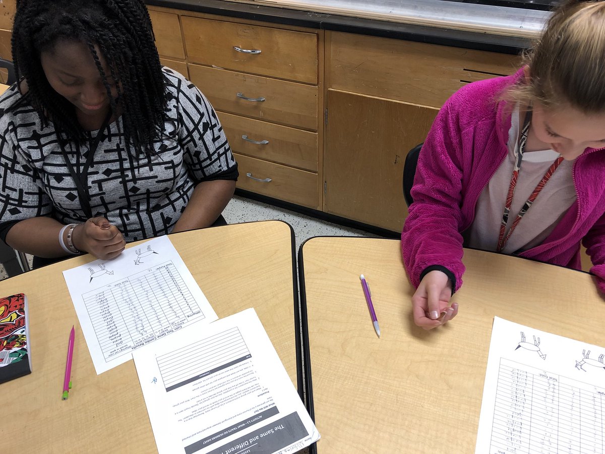 Flipping coins to determine traits of Plopolottas <a href="/IrmoMiddle/">IrmoMiddleSchool</a>