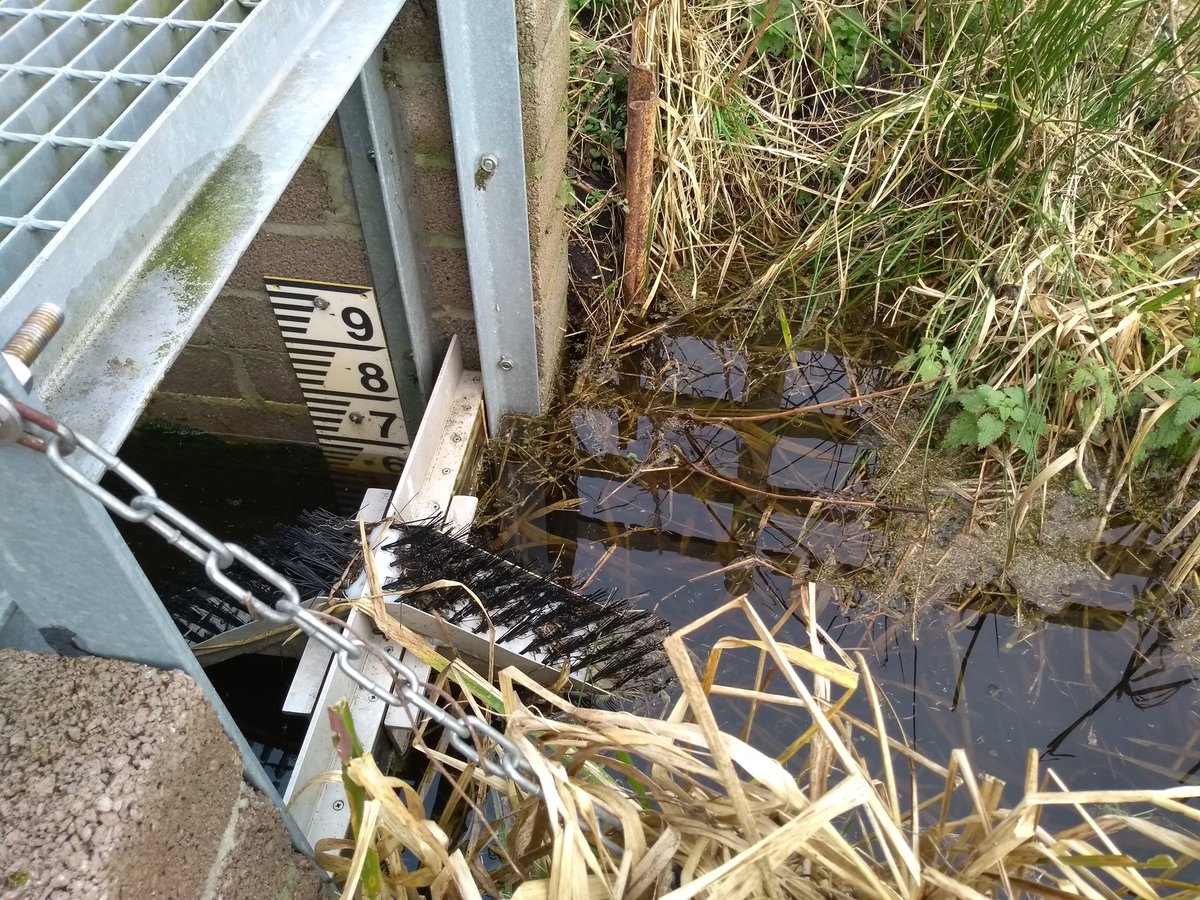 Emma Robertshaw tweet media