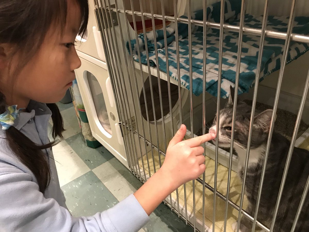 MCBakerVT's tweet photo. Congrats 3rd grader Ziva for donating your birthday gifts &amp; money in honor of animals in need!  #HSCCVT @MaterChristiVT raising kids right! https://t.co/pzCJ3ebwsv