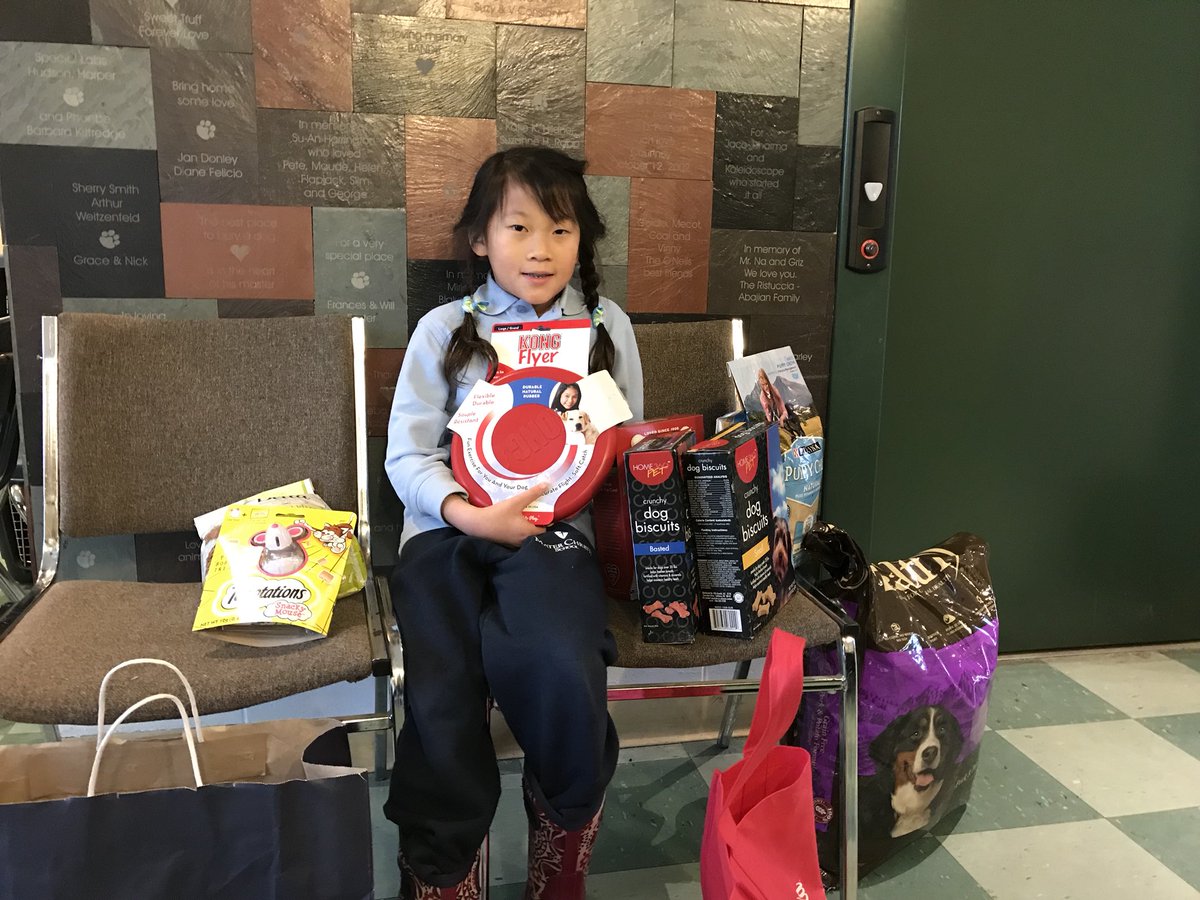 MCBakerVT's tweet photo. Congrats 3rd grader Ziva for donating your birthday gifts &amp; money in honor of animals in need!  #HSCCVT @MaterChristiVT raising kids right! https://t.co/pzCJ3ebwsv