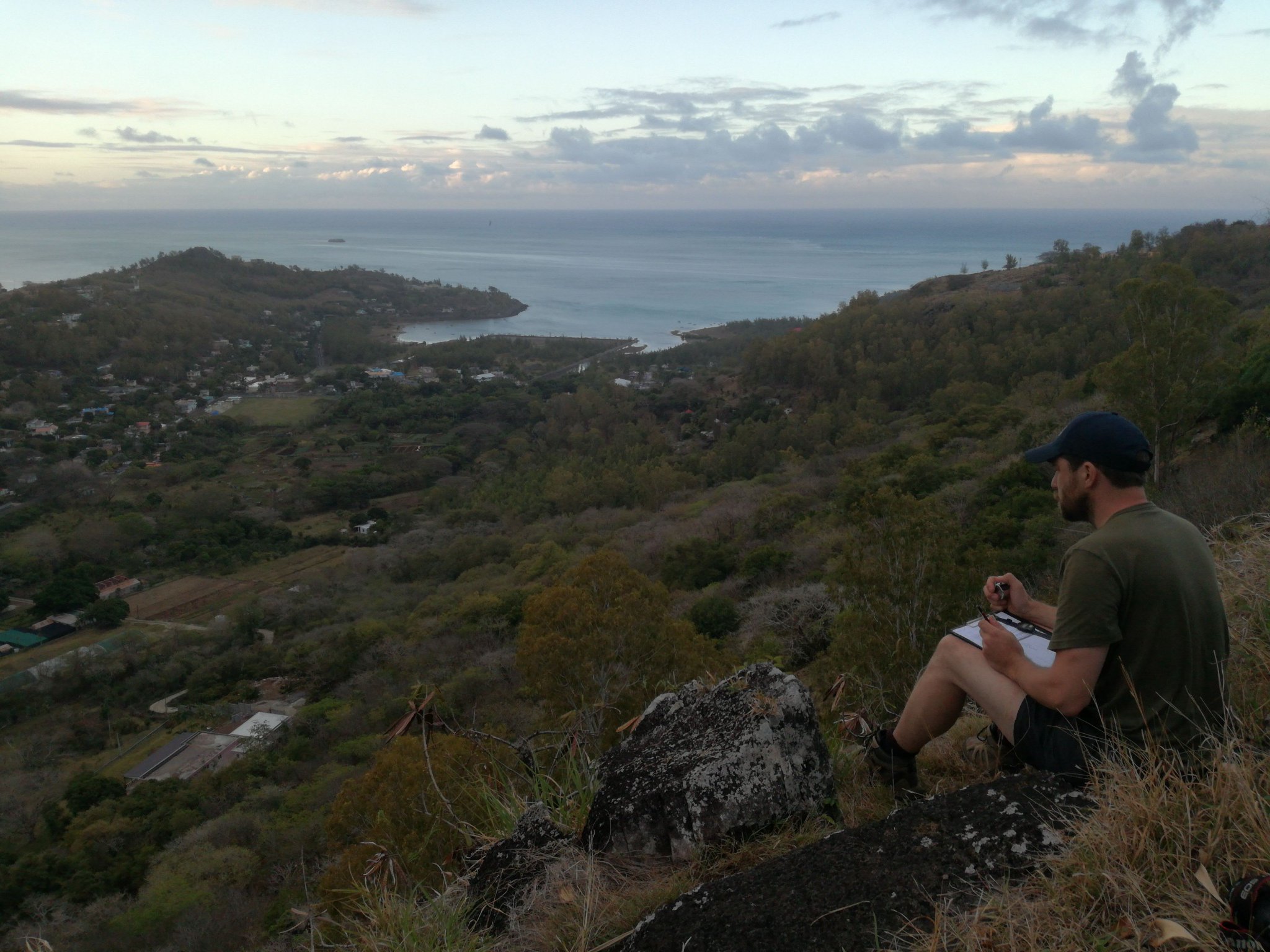 Chester Zoo on Twitter "TheZoo is working in Mauritius to help protect the Rodrigues fruit bat