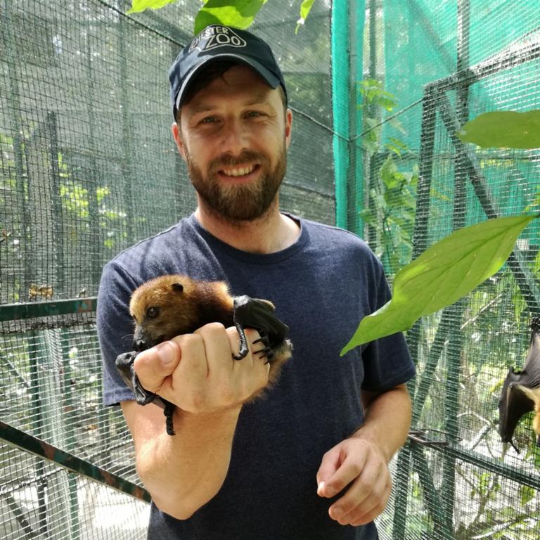 Chester Zoo on Twitter "TheZoo is working in Mauritius to help protect the Rodrigues fruit bat