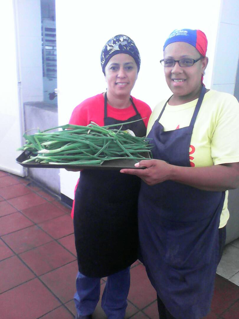 CE_FERMINTORO's tweet photo. Mas cebollin producido por la familia fermintoreanas. @CE_FERMINTORO https://t.co/9dlSFxqhGr