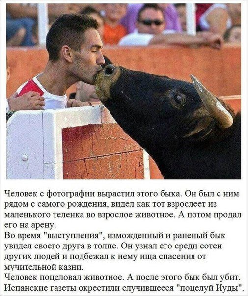 best_fact's tweet photo. https://t.co/TTOMw3tEpo