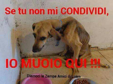 Ecco ché succede se non si condivide