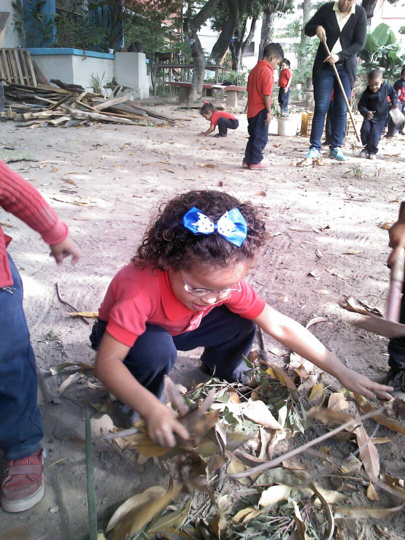 CE_FERMINTORO's tweet photo. Los y las niñas fermintoreanas recolectan hojas para el compostero #conucofermintoreano https://t.co/DCnMJOU3we