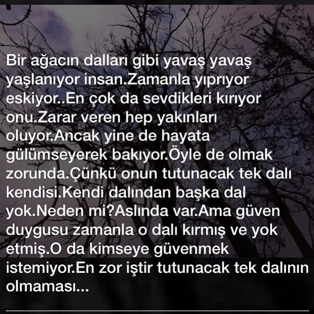 n_ruyas's tweet photo. https://t.co/vrbRO2dvur