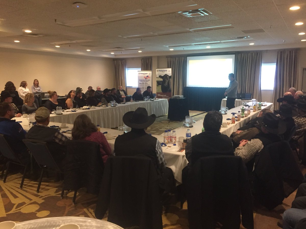 TheCliffsFarm's tweet image. Thank you local producers for packing the room at our Beef Meeting in Saskatoon. #OrganicTraceMineral #Blueprint #MycotoxinManagement @MasterfeedsCDN @Alltech