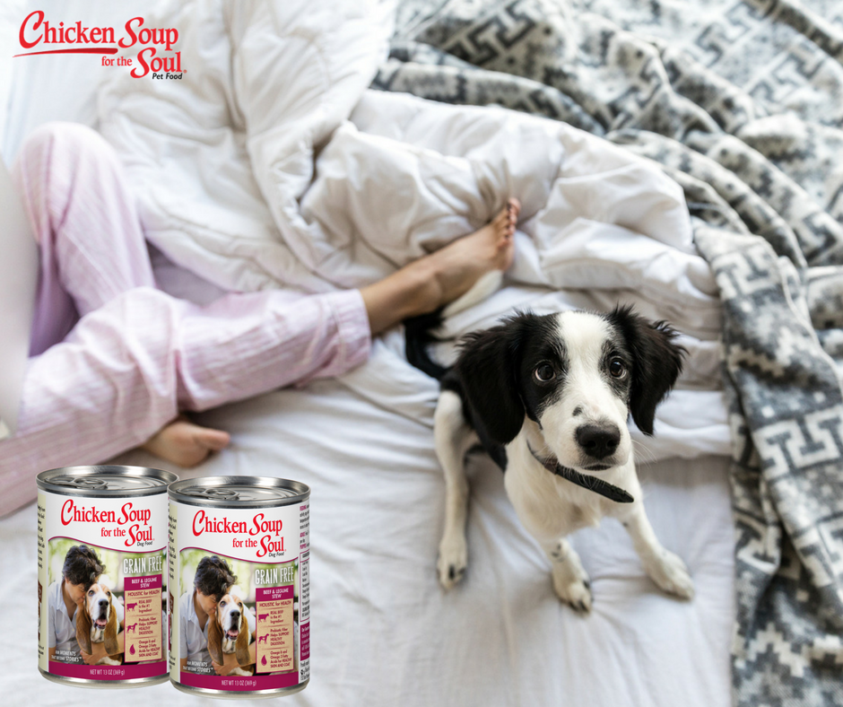 ChickenSoupPets's tweet photo. A healthy, happy pet is a key ingredient to a healthy, happy home. https://t.co/LHK8QCHS4R