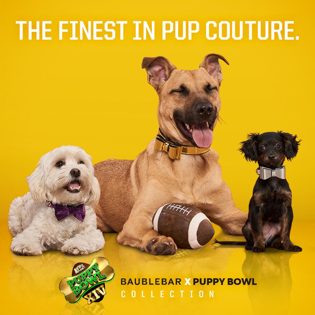 The @BaubleBar X Puppy Bowl collection of leashes and collars look good on and off the field... Best part is, proceeds benefit animal rescue @SocialTeesNYC! Shop the collection here: bit.ly/2DynARg