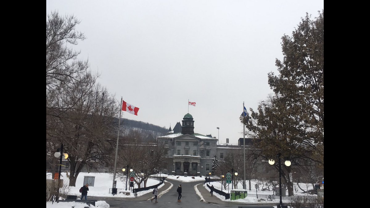 andymelo21's tweet photo. I had a great official visit at McGill University last weekend💯 Huge thanks to the coaching staff for a making it happen🏈 @McGillAthletics https://t.co/hVysbZARN7