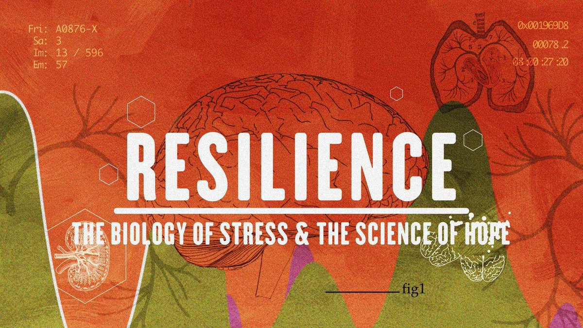 I’m so curious about resiliency. What is it that causes some to believe in the positive promise and possibilities of tomorrow? The title of this film drew me in. #theresilientprevail #morehope
