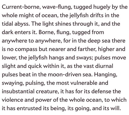 Ursula Le Guin wrote maybe the most beautiful opening paragraph of any book I've ever read. It's from The Lathe of Heaven.

I have it bookmarked for when I forget how words work. I read it all the time. It's here.
