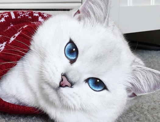 ⭐️🦋DINÁMICA🦋⭐️

✨#LindaStar✨

<a href="/Lucyfan007/">Lucy ifb 💯</a> <a href="/Nena_Fan1/">Nena 💫 GFBS 💫</a> <a href="/pucca_girl01/">Pucca</a> <a href="/Mayorga555/">Mayorg'a</a> <a href="/marianoalbi/">Mariano</a> <a href="/MiTV55/">Michelle 👣</a> <a href="/DayanaRivas1210/">Dayana Rivas</a> @GianiLey <a href="/CHIRA57/">Esperanza Soto</a> <a href="/alicia128351721/">ALICIA BEATRIZ BEZZO</a> <a href="/didierpatience/">Didier Calderón</a> <a href="/MichaelNike8/">Michael Knigth</a> <a href="/tavobenhur/">tavobenhur@outlook.com</a> <a href="/JcdavilaGt/">José Carlos Dávila</a> <a href="/ForlanAnna/">L M</a> @Rayazlava <a href="/mansillamer/">mansilla gaillard Ⓜ</a> @Adriana24488139 <a href="/Selopz1/">✈Sebastian✈</a>