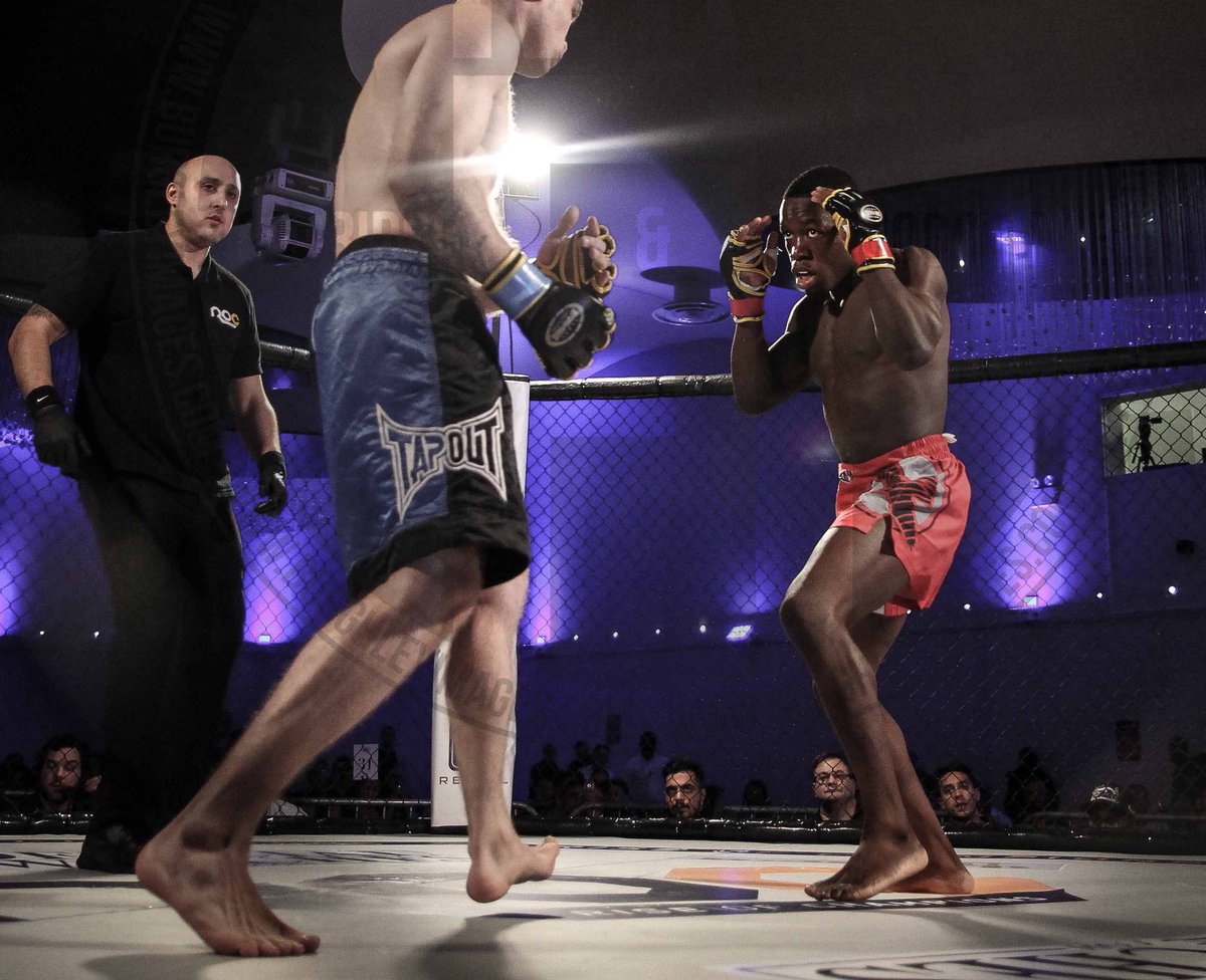 EkundayoAirline's tweet image. #PredatorMode It’s soon time to eat! 🦁😋