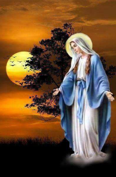 mulu (@mulu02715353) on Twitter photo 