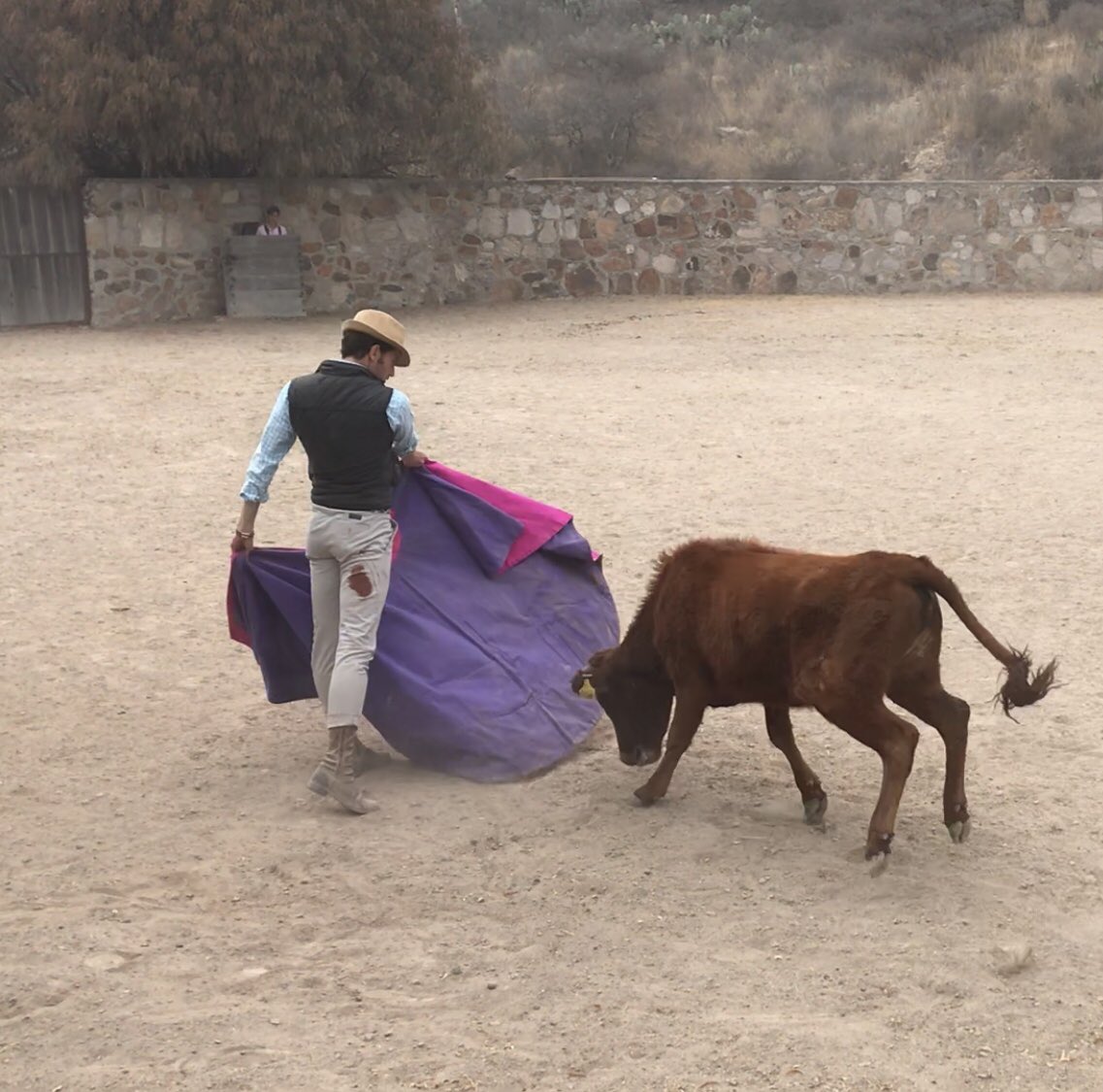 Tentadero en Guanamé con mi Cayeyo