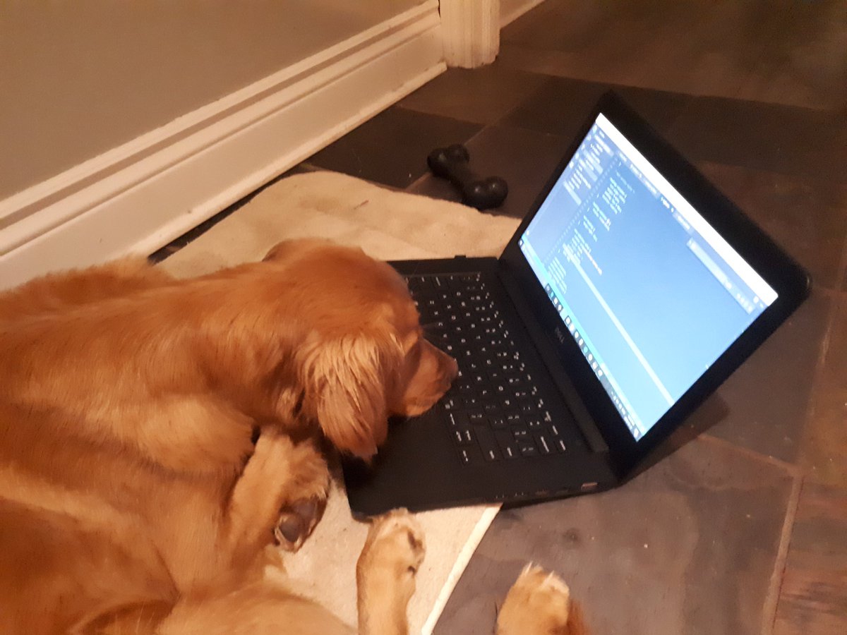 anastasiyacodes's tweet photo. Miles is almost ready to submit his Project #1. #hy #cohort17 https://t.co/JxViUUvVnJ