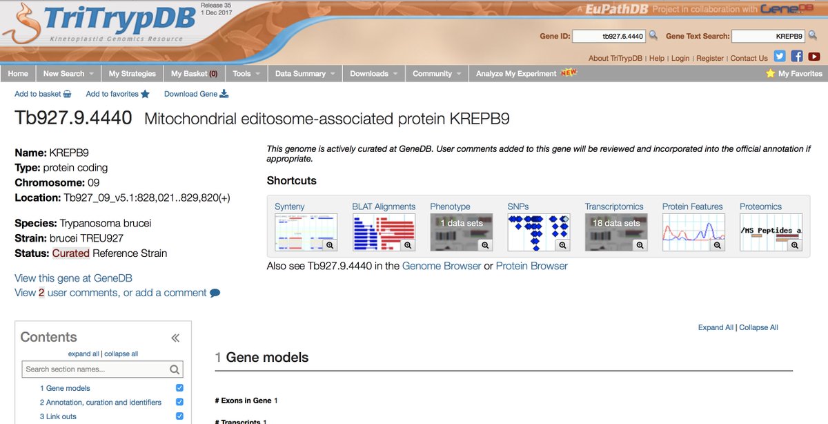 veupathdb's tweet image. Related to our previous tweet, check out the gene page for KREPB9 on #TriTrypDB tritrypdb.org/tritrypdb/app/…
