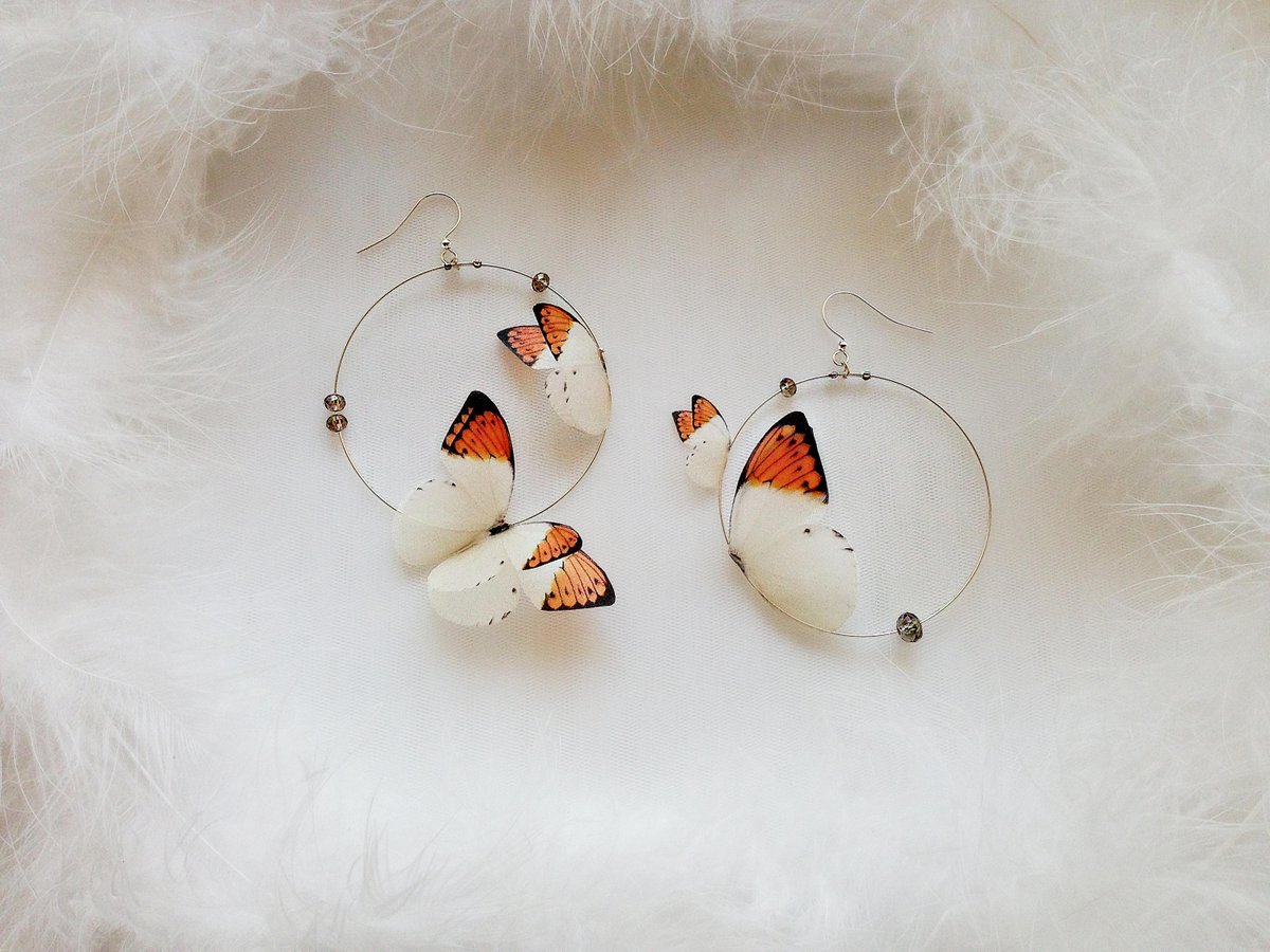 SilkWorkshop's tweet photo. Excited to share the latest addition to my #etsy shop: Butterfly earrings "The Autumn"
https://t.co/l49s8dR7aS
#jewelry #earrings #wedding #forwedding #forbride #bridalearrings #weddingearrings #organzabutterfly #organzabutterflies https://t.co/5XiXwAUPMX