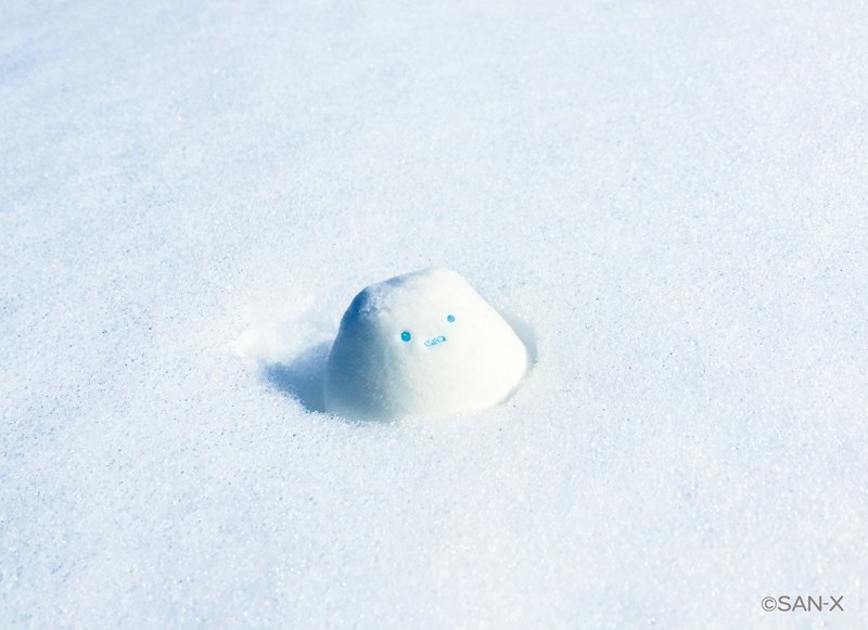ゆきやま❄️ 【すみっコ写真部】はいつでも部員募集中📷⭐️ #すみっ