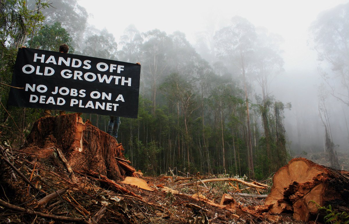 Goongerah Environment Centre (GECO) tweet media