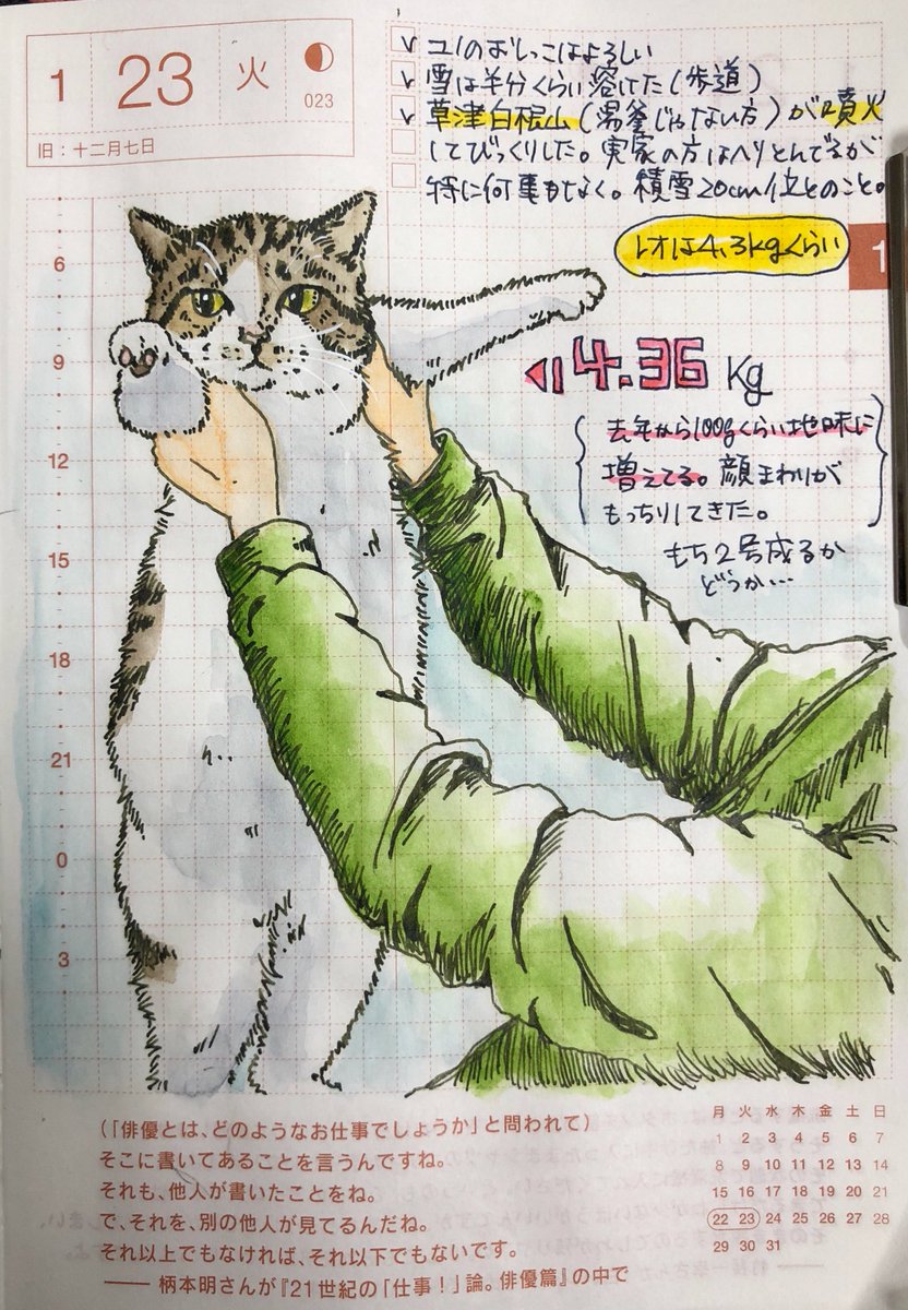 猫さんの殴り合い 猫パンチ をスローモーションで撮影したらすごかった 猫にとってどれくらいの威力なんでしょうね Togetter 猫さんの殴り合い 猫パンチ をスローモーションで撮影したらすごかった 猫にとってどれくらいの威力なんでしょうね Togetter