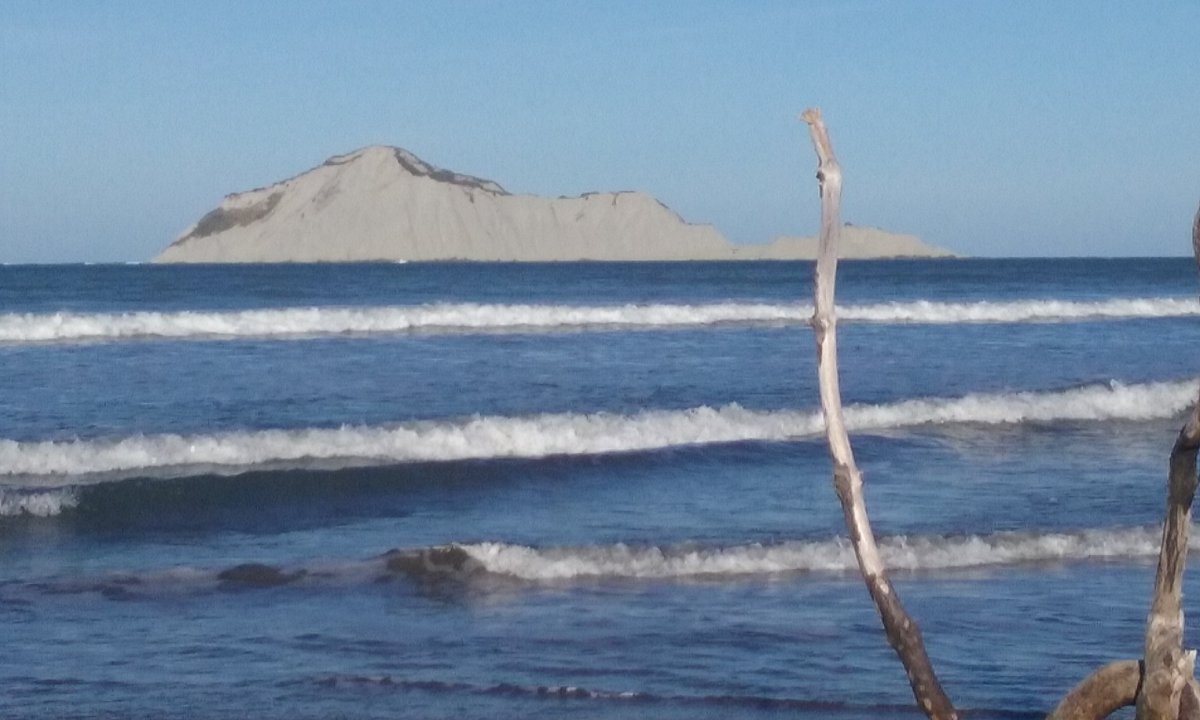 Plantgroup tweet media