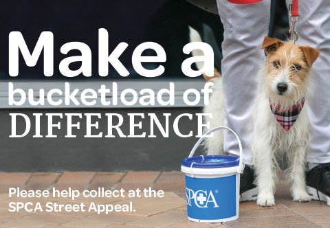 Our Annual Street Appeal is back, with a new date - 9 &amp; 10 March 2018. Bring your friends, bring your dog, and join us for a fun day! By joining the team for as little as two hours you will make a bucket load of difference to Wellington's animals. ow.ly/snV630hXKvt