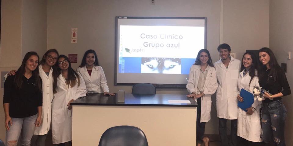 JasperiPreVet's tweet photo. Casos clinicos presentados por nuestros iniciantes 2017-2018. Grupo Azul, Rojo y Verde 🦎 🦊 🦈 ❤️ #Jasperi #UPRC https://t.co/Q33DxPEX8m