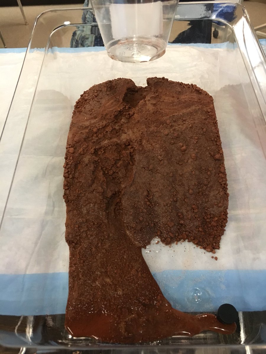 KristiSeim's tweet photo. Loving learning!! Here’s what Gapp to the soil when there is no vegetation present. #PRASlearns https://t.co/EfhS7covtr