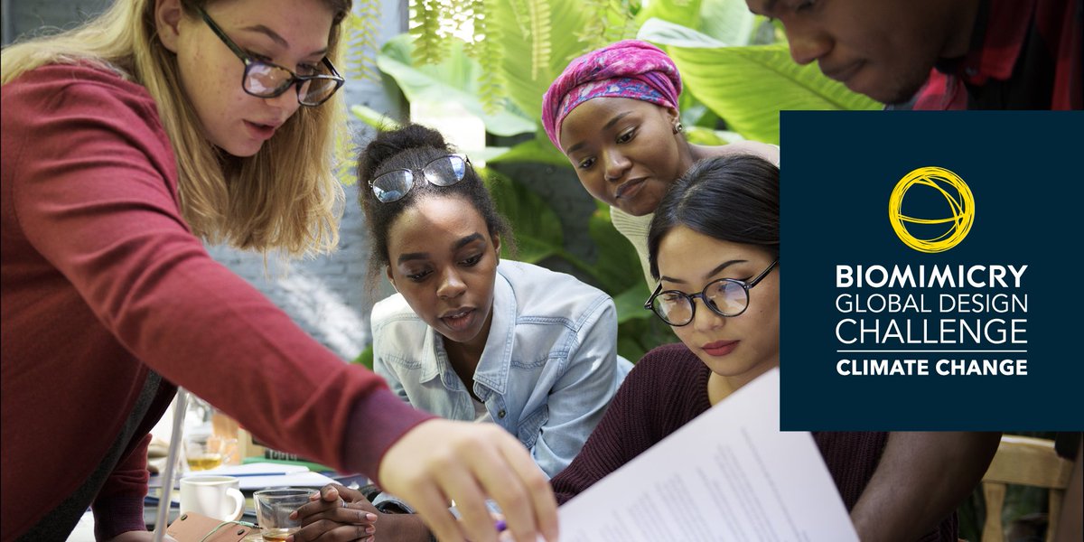 BuckyFullerInst's tweet image. The planet needs nature-inspired changemakers. Are you one of them? Join the #Biomimicry Challenge challenge.biomimicry.org @BiomimicryInst