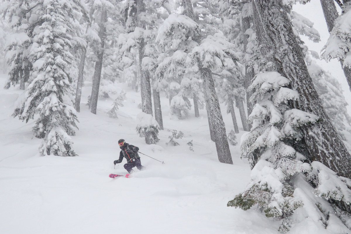 SummitSnow411's tweet photo. #PowderTuesday provides.
8-11" of pow has piled up since 5am, and it's still dumping! Time for night pow! It could end up being the best night skiing of the season. https://t.co/gakhJn2G8h