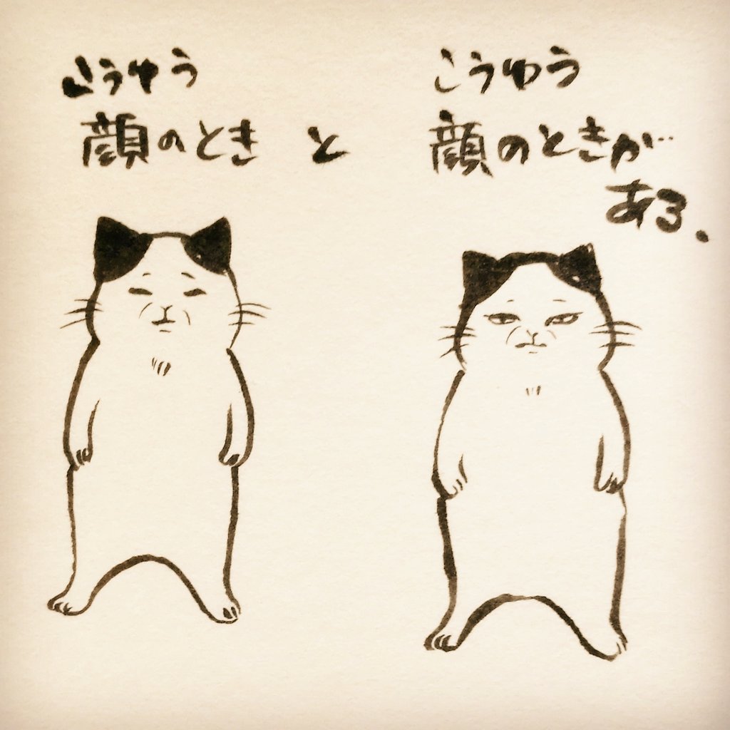 猫土居 Twitterissa 猫 猫土居 猫イラスト 筆ペンイラスト Catart Cat