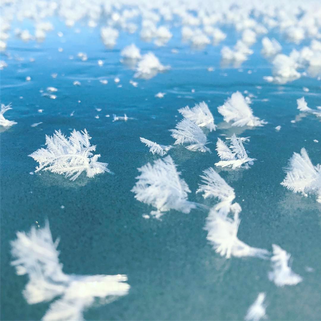 ふしぎで綺麗でかわいい フロストフラワー 冬の北海道 とくに2月の道東 でよくみられる 冬にしか見られない自然現象が話題に Togetter ふしぎで綺麗でかわいい フロストフラワー 冬の北海道 とくに2月の道東 でよくみられる 冬にしか見られない自然現象が話題に Togetter