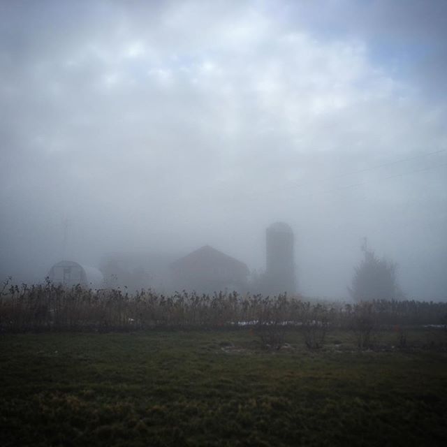 New Year inspiration at @berlefarm #eatwhereyoulive #localfood #farmlikearockstar😎 ift.tt/2F7Q68C