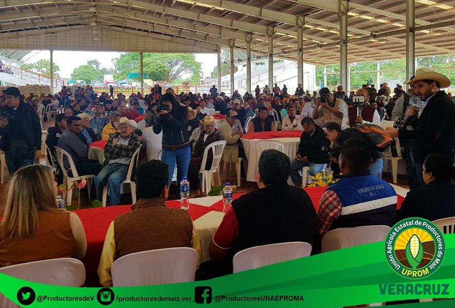 UPROMVeracruz's tweet photo. En Acayucan y Texistepec,ante alcaldes y representante de la Sagarpa, hizo entrega de fertilizante que llega en un momento definitorio para el desarrollo del cultivo del maíz. También se entregó paquetes de apoyo al consumo familiar a 240 mujeres productoras. #UPROM #VERACRUZ. https://t.co/NrEKbYNGVS