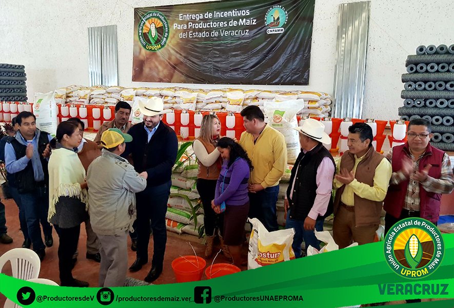 UPROMVeracruz's tweet photo. En Acayucan y Texistepec,ante alcaldes y representante de la Sagarpa, hizo entrega de fertilizante que llega en un momento definitorio para el desarrollo del cultivo del maíz. También se entregó paquetes de apoyo al consumo familiar a 240 mujeres productoras. #UPROM #VERACRUZ. https://t.co/NrEKbYNGVS