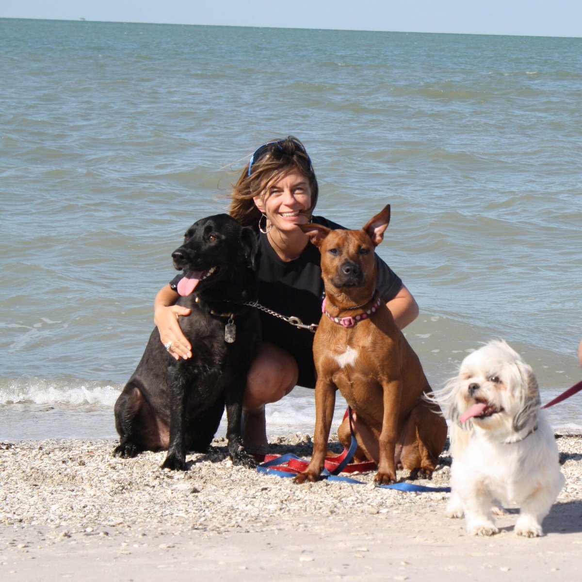 erin_newberry's tweet photo. @melnewberry35 I wanted to respond to that tweet but prefer to be understanding of others beliefs but remind people there are no bad dogs only bad owners. Be a responsible pet owner, REGARDLESS OF THE BREED!  #banbreedlaws  #stopbreeddiscrimination  #i❤️mydogs https://t.co/g9Or8DMURl