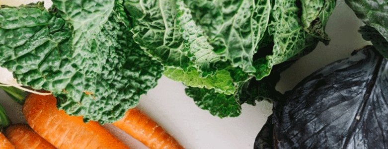 Het is volop #winter en #boerenkool is weer overal vers beschikbaar. Heerlijk en gezond! Heb je het wel eens gebruikt in je #ontbijt? Om je op weg te helpen delen we in deze blog een ontbijtrecept met boerenkool. Blender aan en gaan! ow.ly/hd5230hWPYA