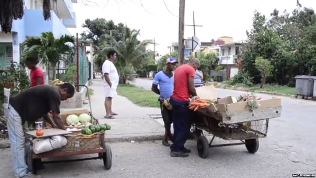 martinoticias's tweet photo. Multas, decomisos y precios topados frenan producción de #alimentos en #Cuba  https://t.co/KwcWKTdXrW https://t.co/xJtiYNdD4F