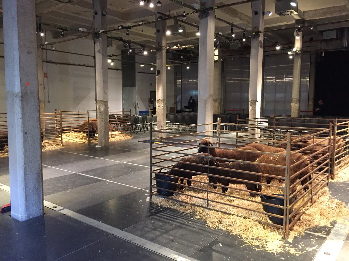 AsocMerino's tweet photo. Todo listo!!, @oteyza_ , #FashionWeek ,#100merino,#100%nuestro https://t.co/76mflJDIrz