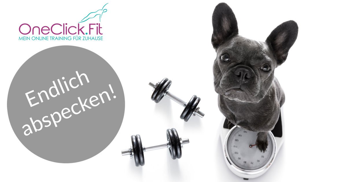 OneClick_Fit's tweet image. Hier kriegst Du Dein #Fett weg! 
Teste 7 Tage #kostenlos unser von Diplom Sportwissenschaftlern entwickeltes #Abnehmprogramm!
oneclickfit.com/programme/gewi…
#abnehmen #abspecken #lowcarb #motivation #StartTraining