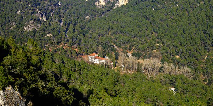 BCNmoltmes's tweet photo. 5 rutes circulars sorprenents! Ni tornes pel mateix camí, ni t'has de preocupar d'on has deixat el cotxe. Més info👉 https://t.co/Kt9i1Hglls https://t.co/ARpNcJsmGh
