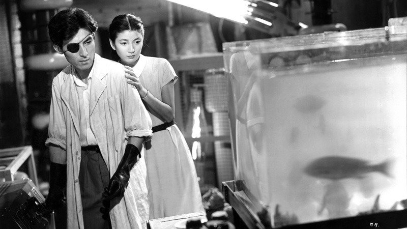 芹沢大助 Twitter Search Twitter