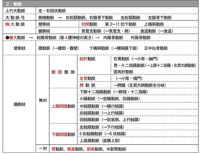 柔道整復師免許証