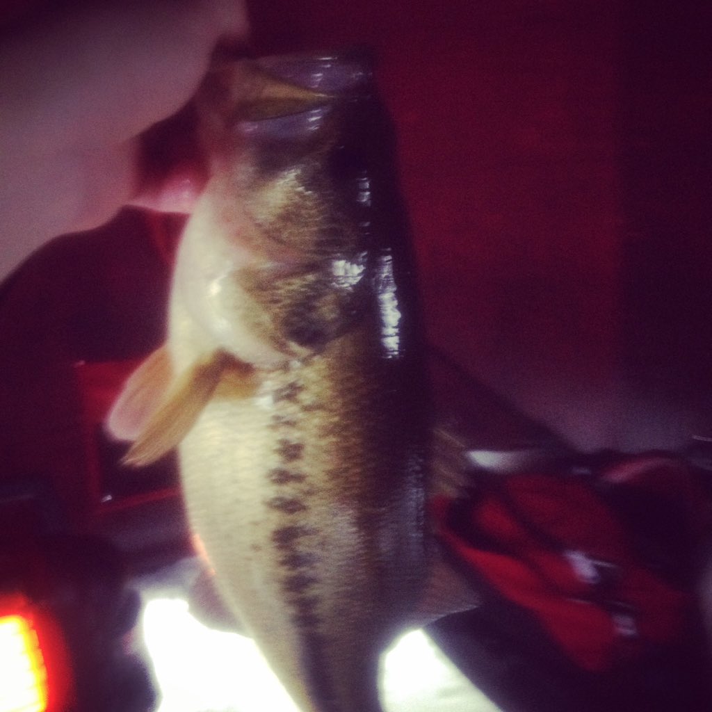 DanielPotocek's tweet photo. Big largie  through the ice #largemouthbass @BassProShops #icefishing #fishing #marina #detroitriver #michigan #ontario #greatlakes https://t.co/PEUjZBHoiw